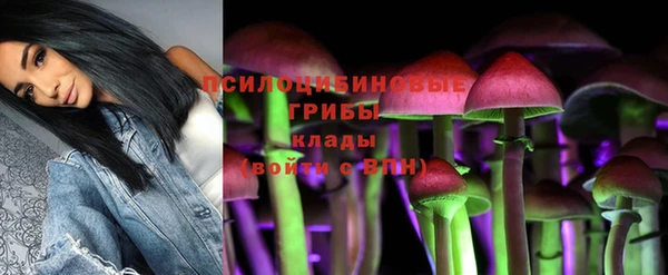 гидропоника Аркадак