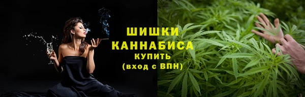 круглые Пересвет
