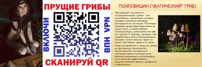 Псилоцибиновые грибы MAGIC MUSHROOMS Петровск-Забайкальский
